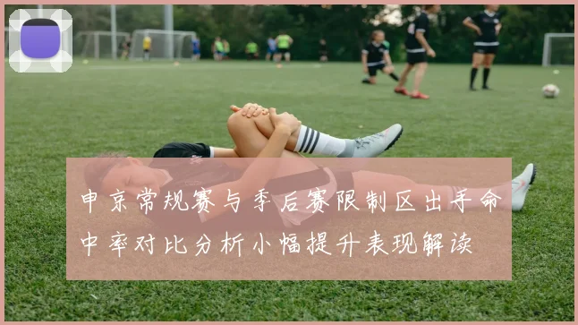 申京常规赛与季后赛限制区出手命中率对比分析小幅提升表现解读